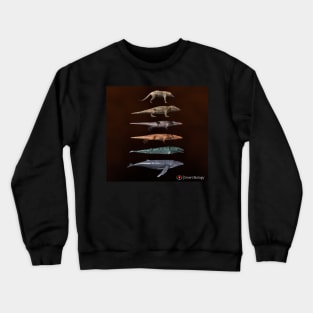 The Evolution of Whales Crewneck Sweatshirt